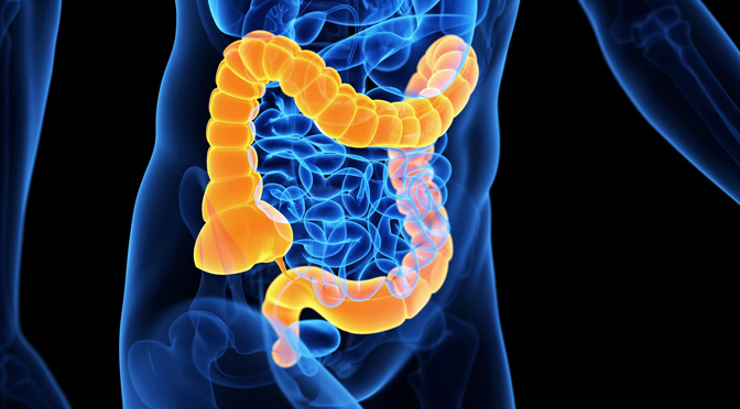 Le Cose Da Sapere Su Come Prepararsi Per Una Colonscopia Multimedica